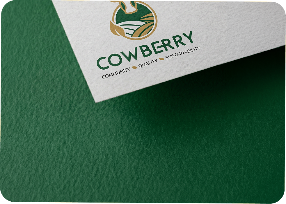 Logo design and variations