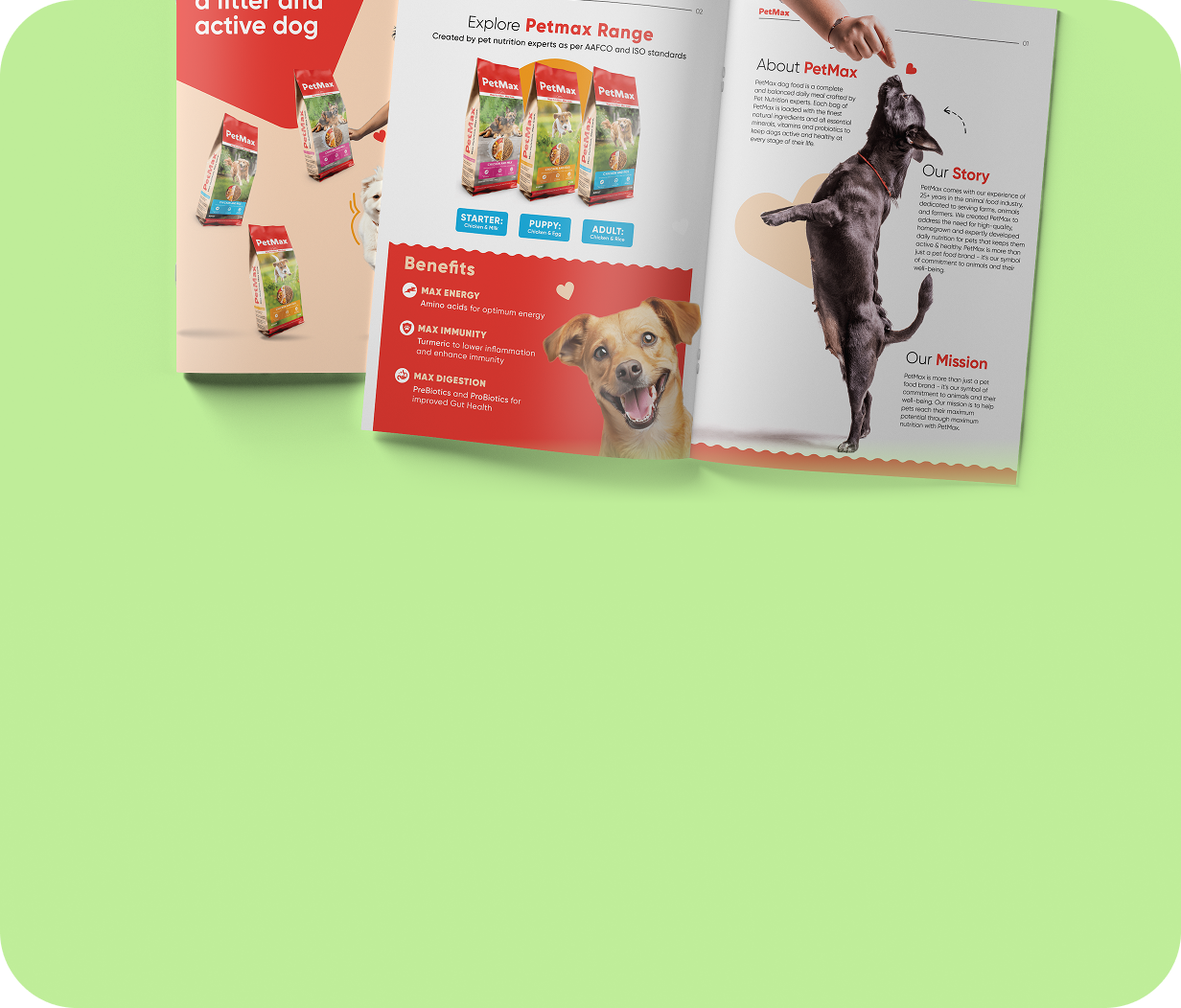 Product Catalogue Design