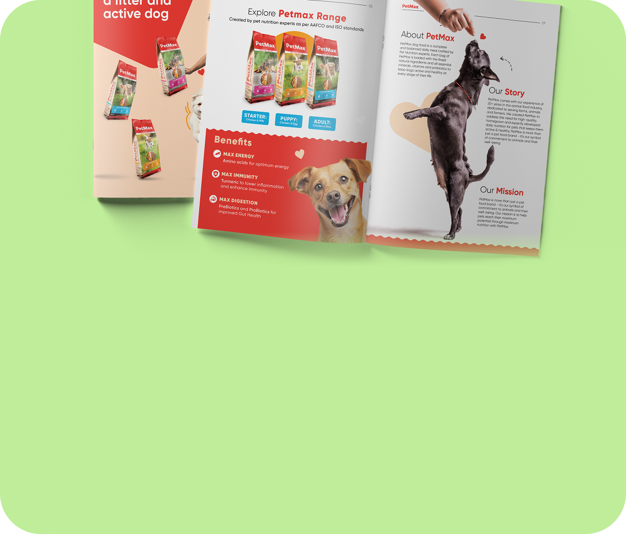 Product Catalogue Design